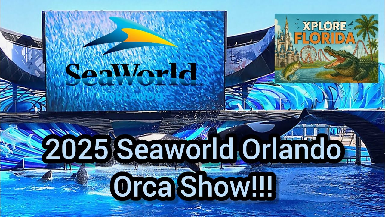 Шоу косаток SeaWorld Orlando 2025 в формате 4K | Полное выступление косаток!