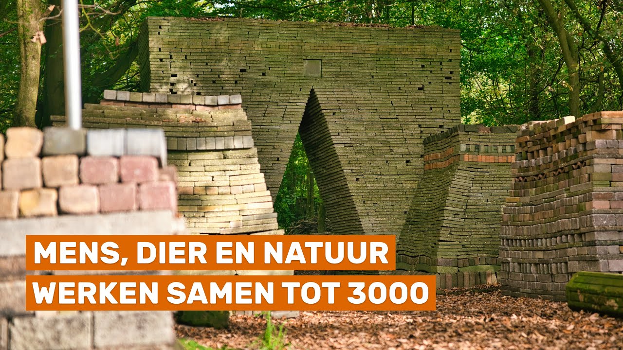 De ecokathedraal is een bijzondere stapel stenen in het bos