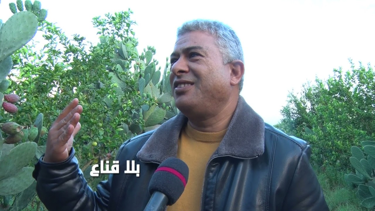 bila kinaa | ضيعة بوعرقوب..شتلة محلية للهندي لايوجد منها في العالم..لكن الفلاح تاعب في غياب الدولة