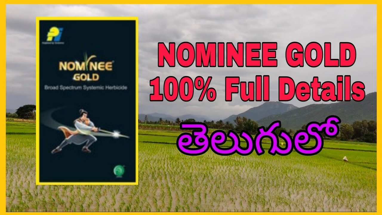 Nominee Gold Full details | నామిని గోల్డ్ గురించి పూర్తి వివరాలు |