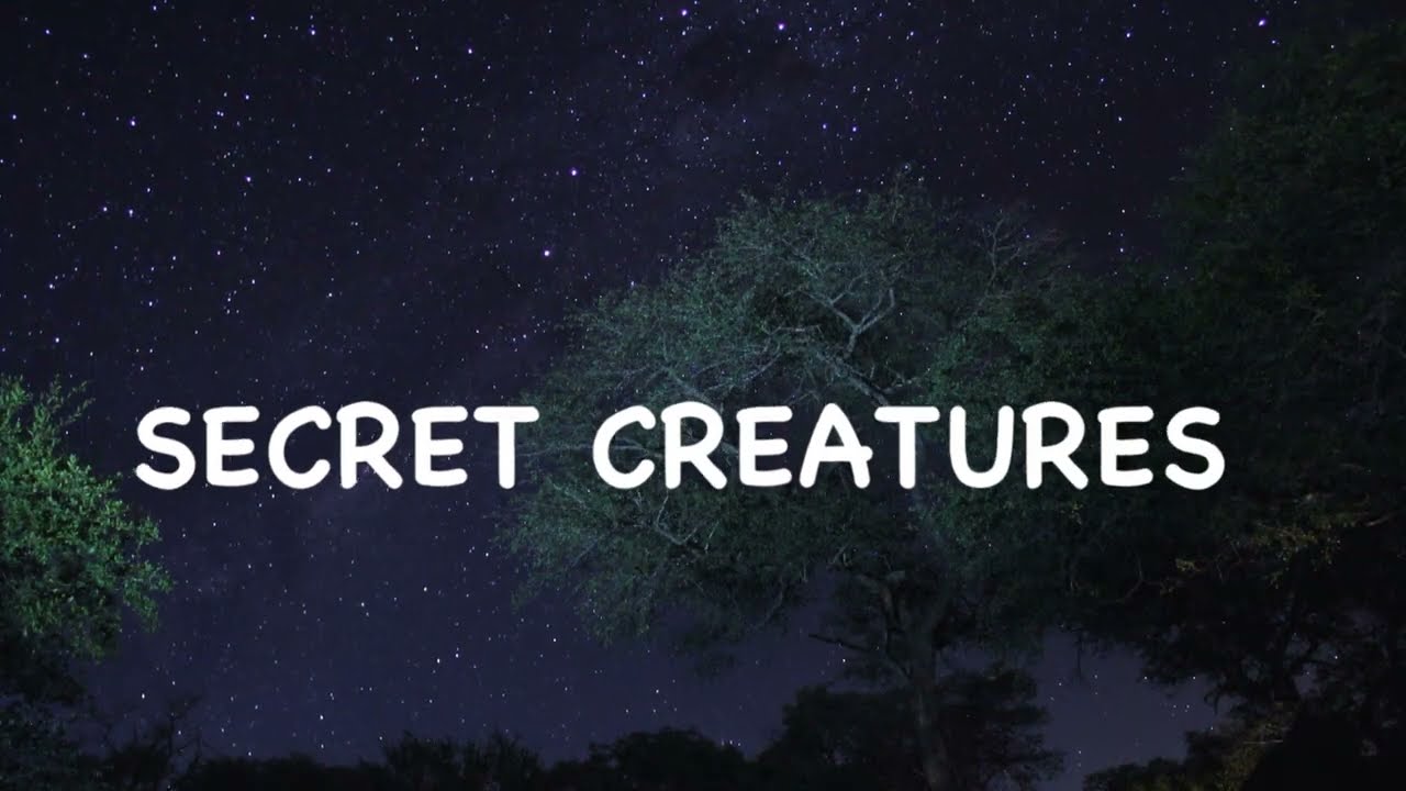 Africa's Secret Creatures