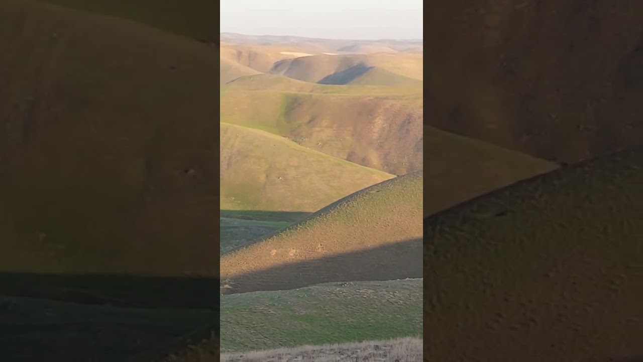 Yurtimiz bahori