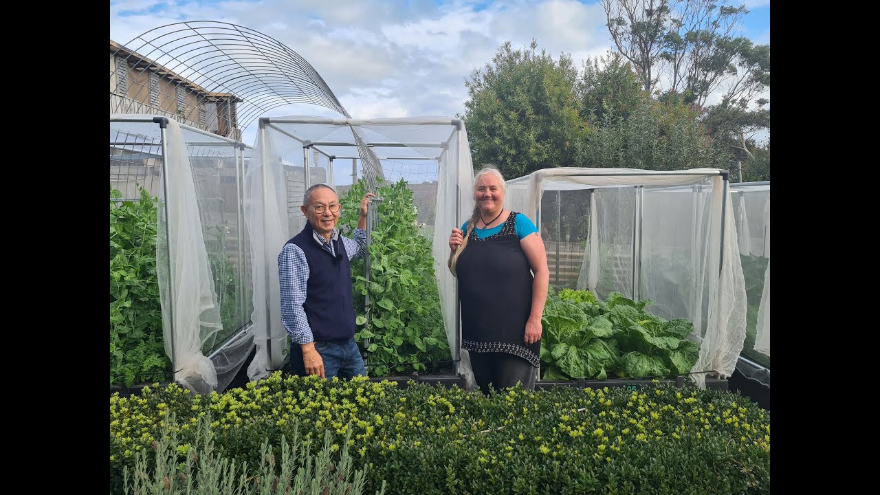 Perry's Garden - wicking beds, inventiveness and a bit of tech growing giant vegetables!