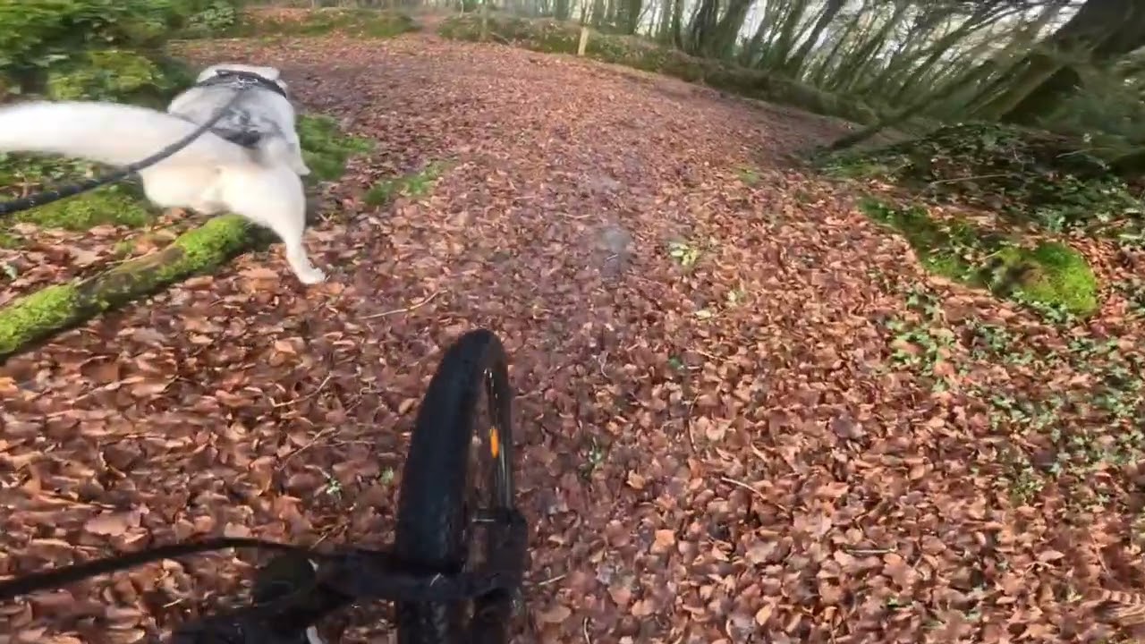 Ukko dans tremelin 