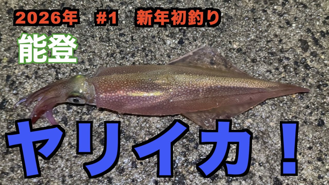 【２０２６年初釣り】極寒のヤリイカシーズン開幕！【ヤリイカ浮釣り】