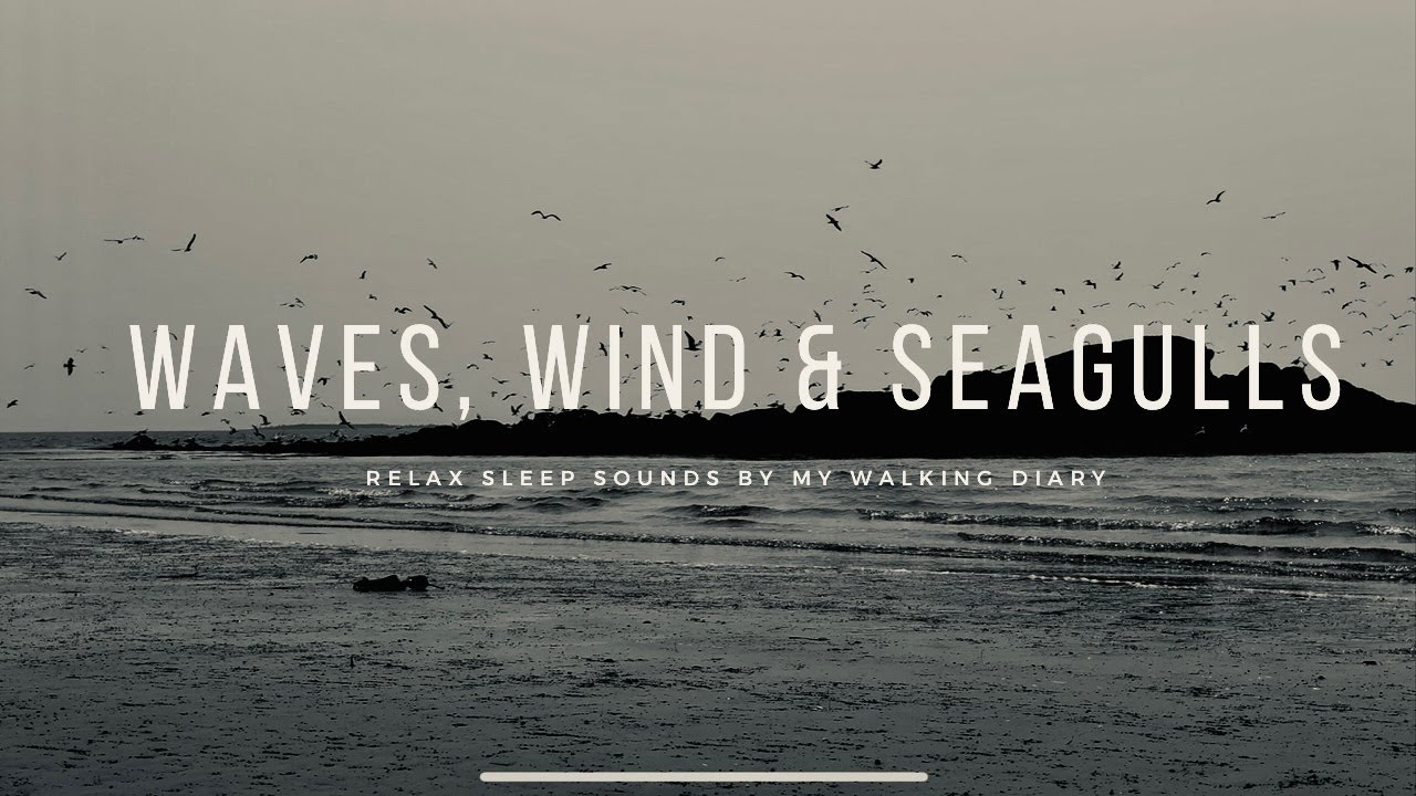 4K | Soothing Sea Waves with Wind & Seagulls | Peaceful Nature Sounds | Grand Manan Island, NB