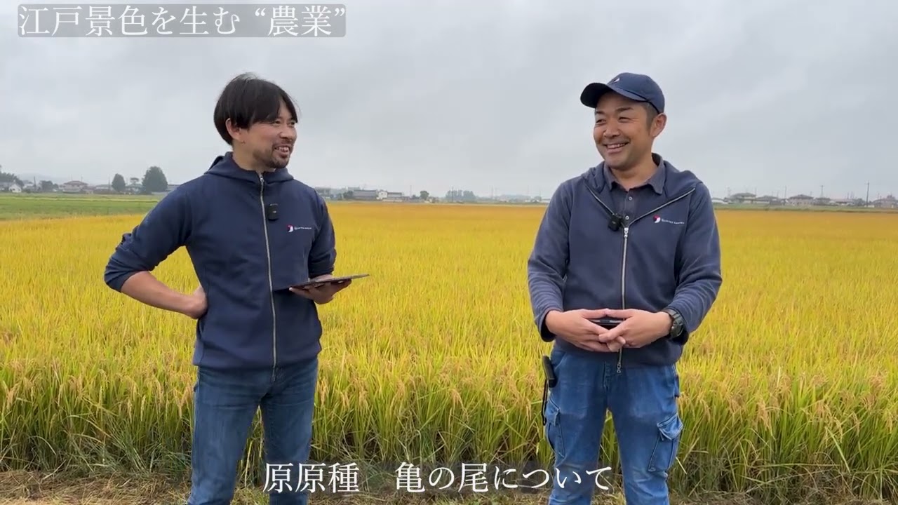 JSP　UTAGE　せんきん