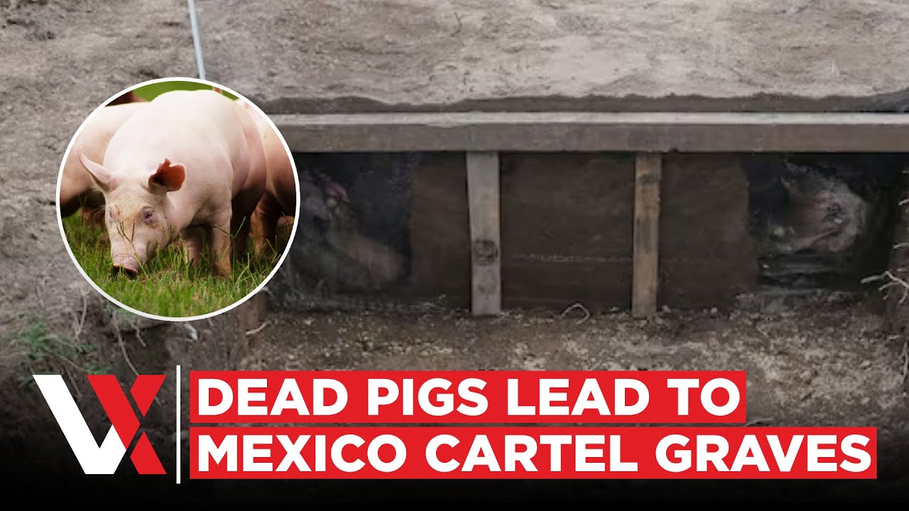 Dead Pigs, Drones, Phosphorus Flowers – Inside Mexico’s High-Tech Hunt For Cartel Victims | VERTEX