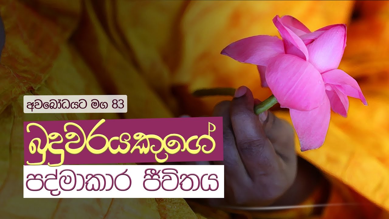 අවබෝධයට මග 83 | බුදුවරයකුගේ පද්මාකාර ජීවිතය