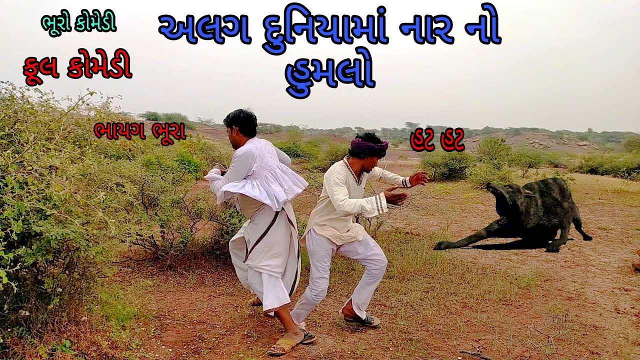 અલગ દુનિયામાં નાર નો હુમલો|bhurocomedy|gujaraticomedy|bccomedy