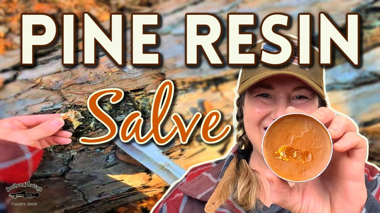 Make Your Own Pine Salve (3 Ingredients)