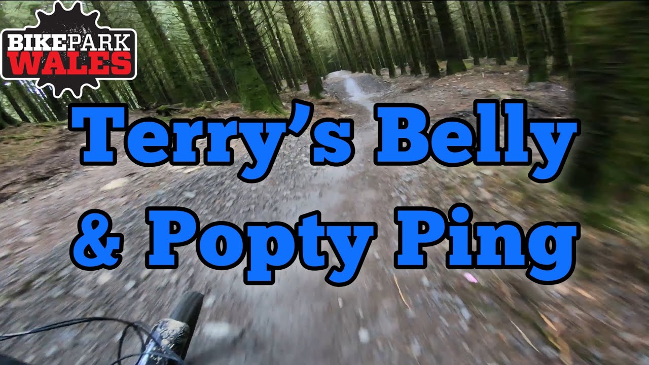 Bike Park Wales - Terry’s belly & Popty Ping - Flow Trail
