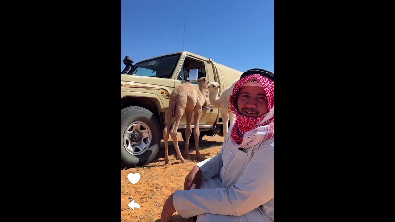 اتفاقية مع الحوار 🤣🤣👌{طراد الخالدي}