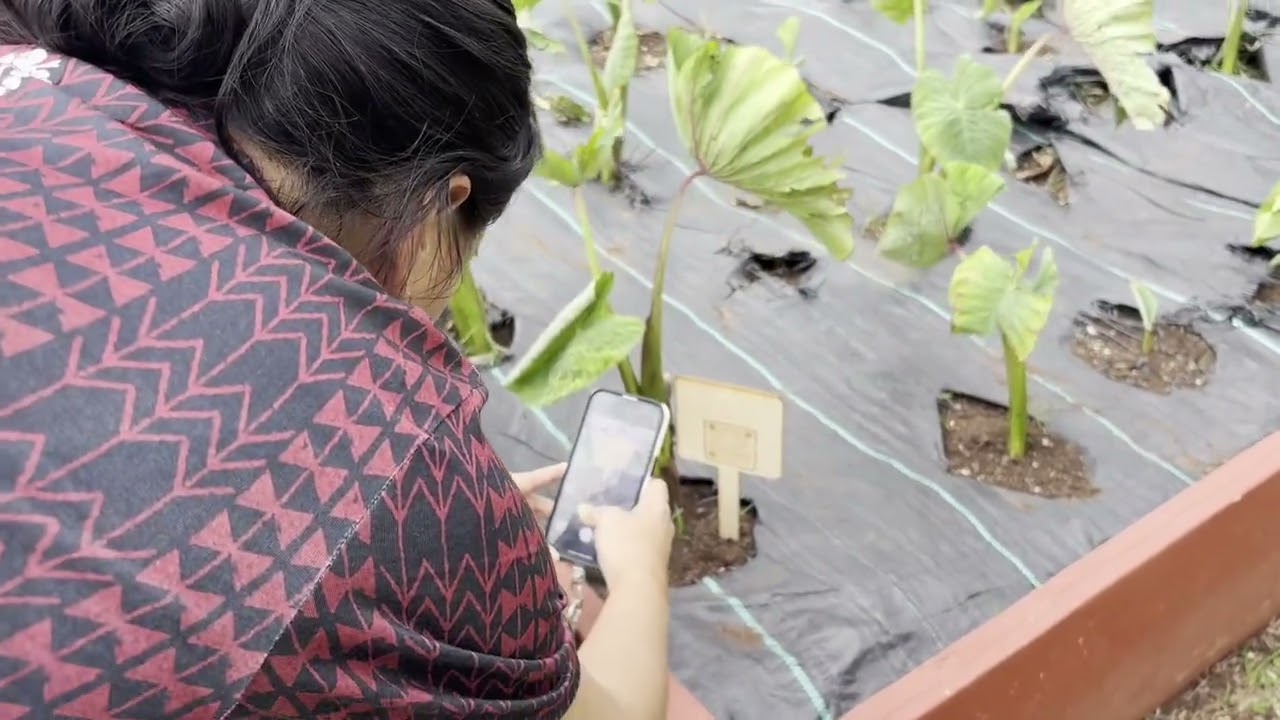 Ka Waihona (Waihona: Preserving Culture Through STEM)