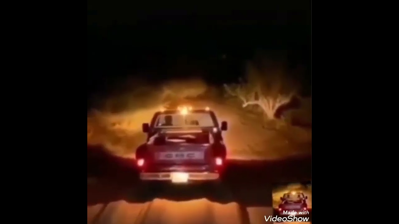 الأقرباء والتسامح كلمات ابو عامر السعدي
