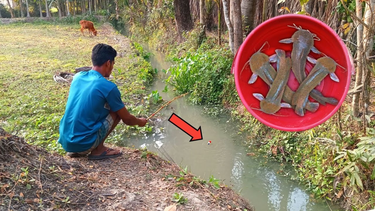 Amazing Fishing Video | Unique techniques to catch big fish & best hooks | Village fishing