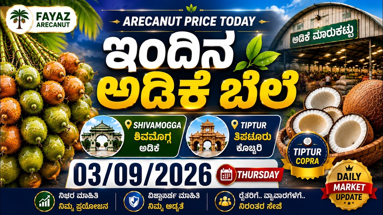 Arecanut Price Today | ಇಂದಿನ ಅಡಿಕೆ ಬೆಲೆ | SHIVAMOGGA & TIPTUR COPRA | 03 September 2026