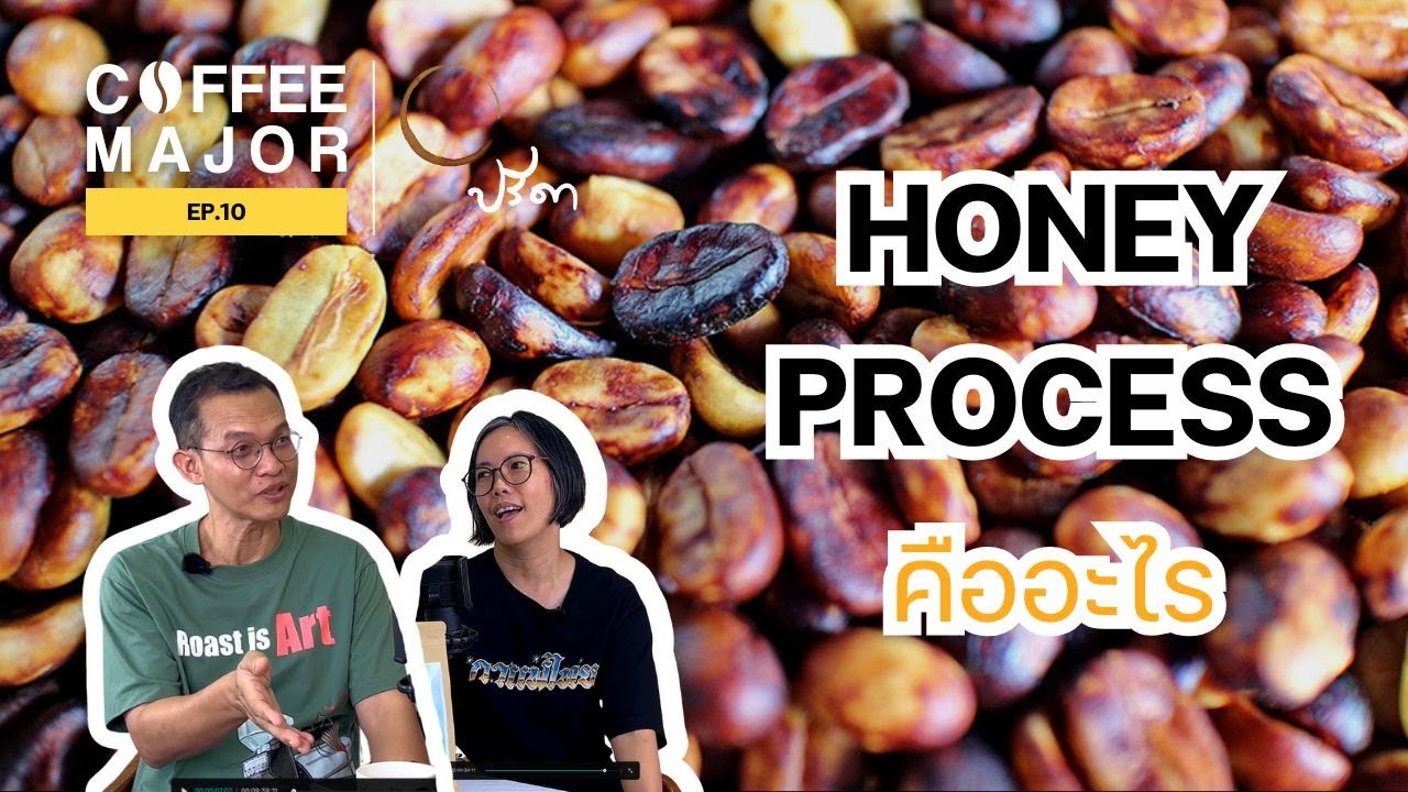 Coffee Major Ep.10   Honey process คืออะไร?