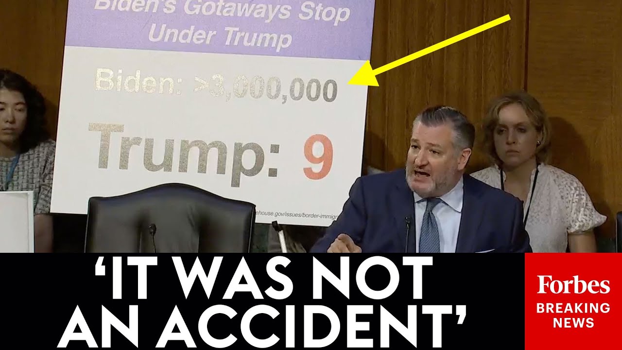 FIERY: Ted Cruz Brings Stat After Stat In Nuclear Takedown Of Biden's Illegal Immigration Record