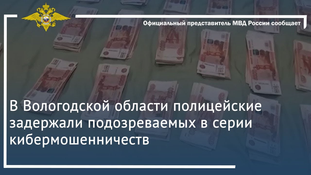 Ирина Волк: В Вологодской области полицейские задержали подозреваемых в серии кибермошенничеств