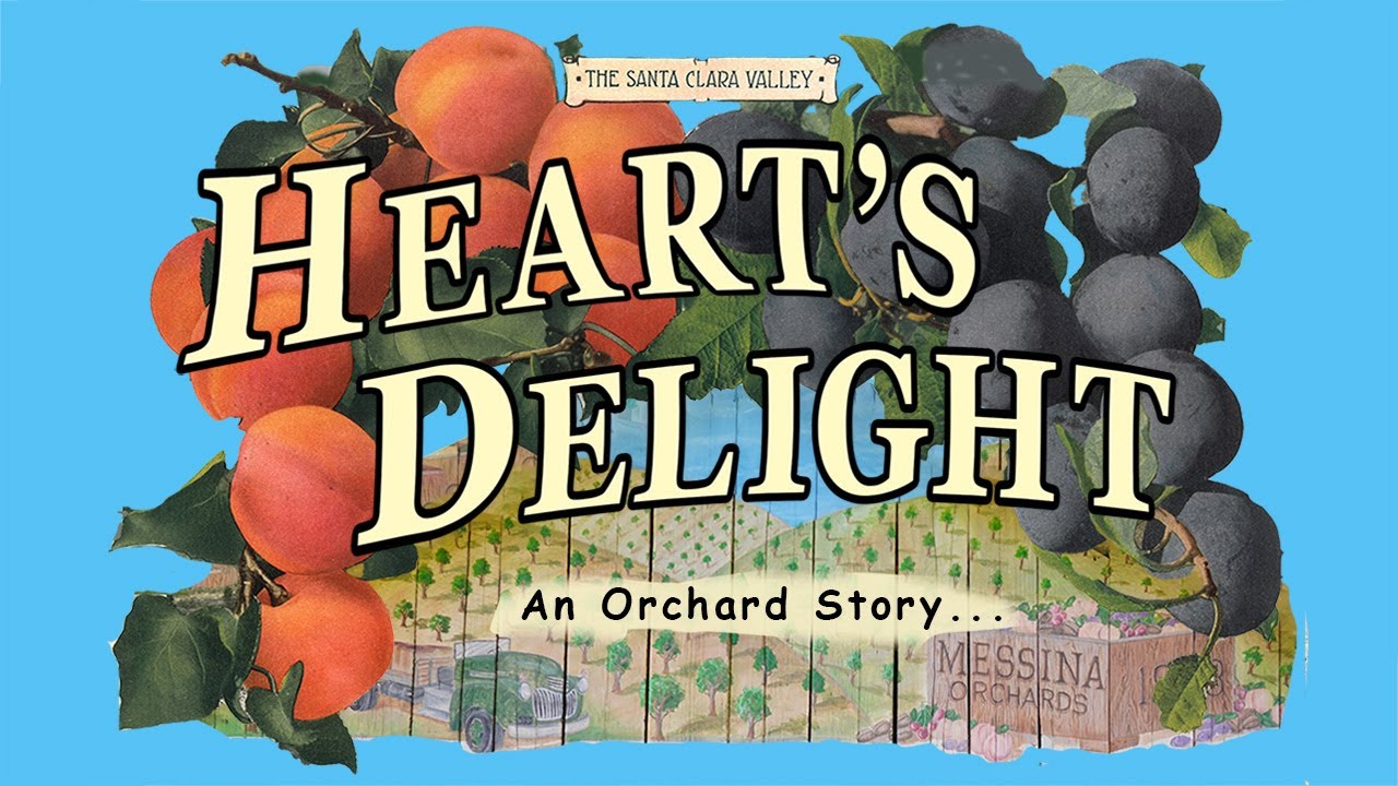 Hearts Delight-An Orchard Story