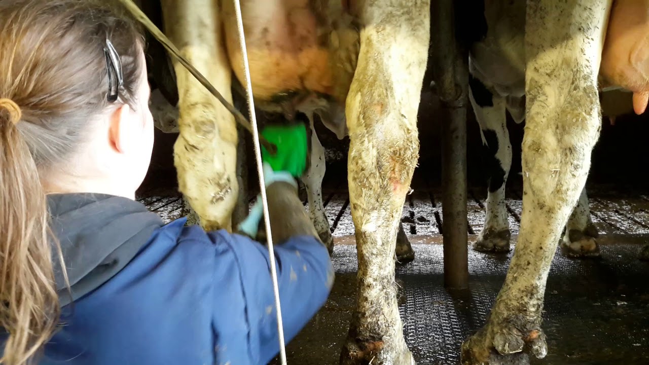 Teatscrubber in actie bij Mts van Regteren