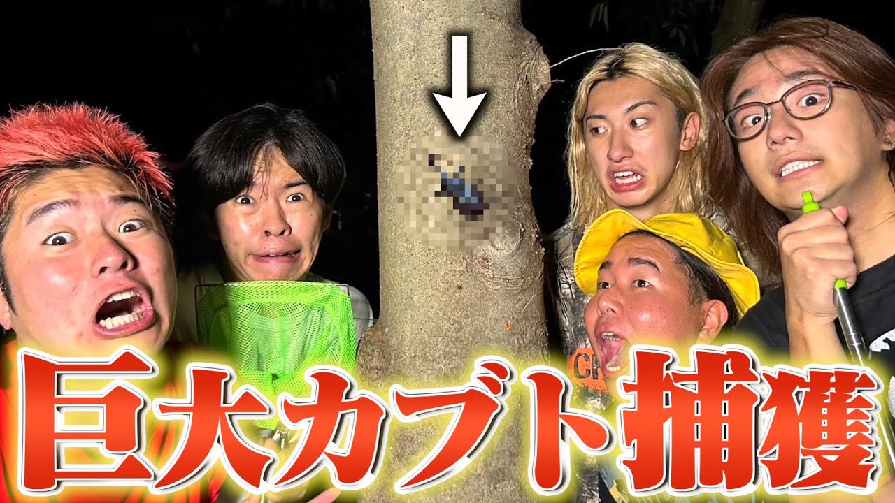 【男の青春】友達とカブトムシ取りはやっぱり楽しいwww