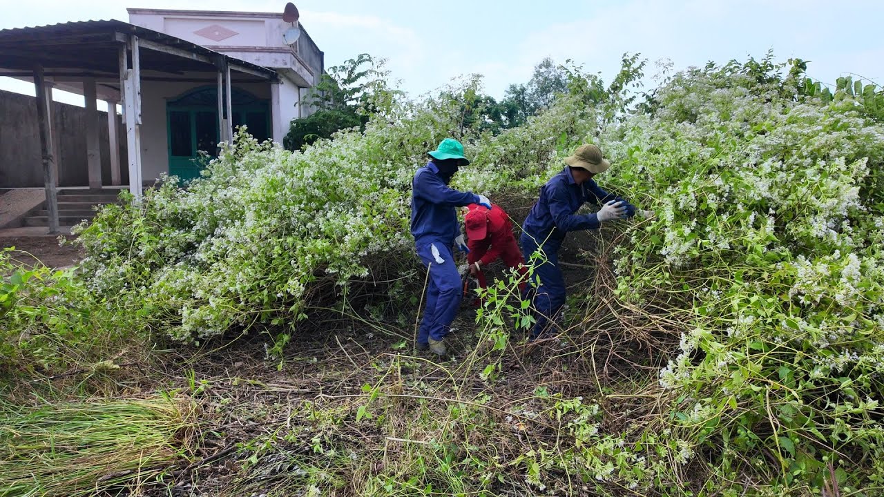 TIME LAPSE - The JUNGLE Was EATING This House — We FOUGHT Back