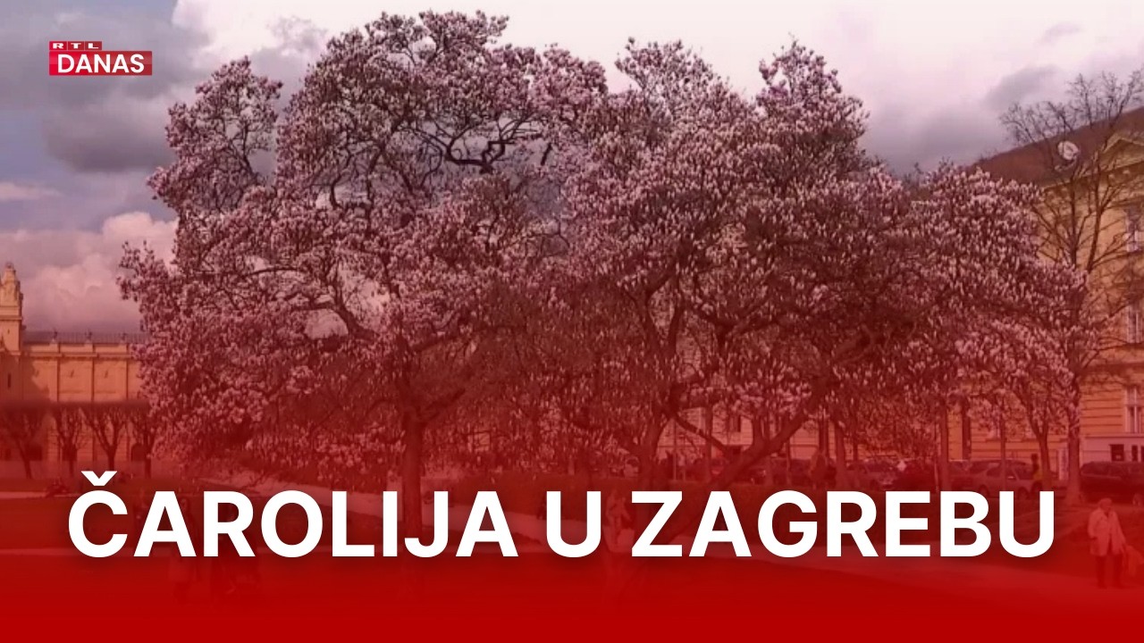 Magnolije procvjetale nikad ranije | RTL Danas