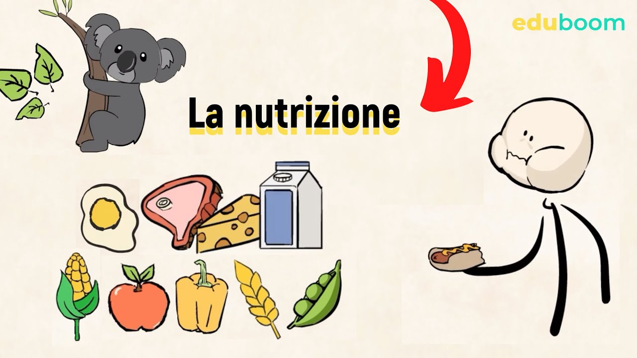 La nutrizione - 2а media