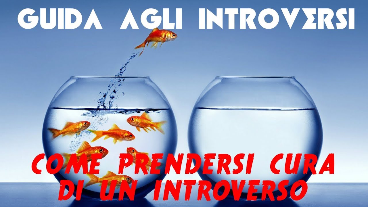 Guida agli Introversi 3: Come prendersi cura di un introverso