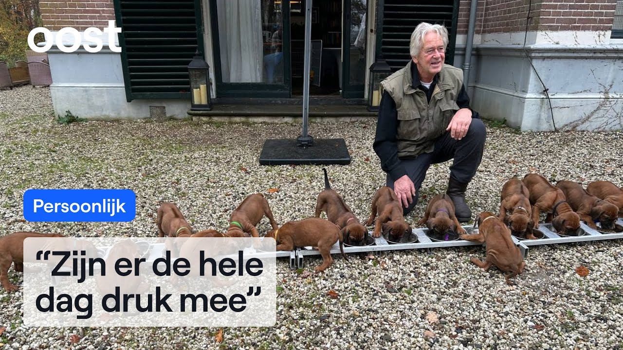 Eddy en Annelies verrast door nest van 15 (!) puppy's | RTV Oost