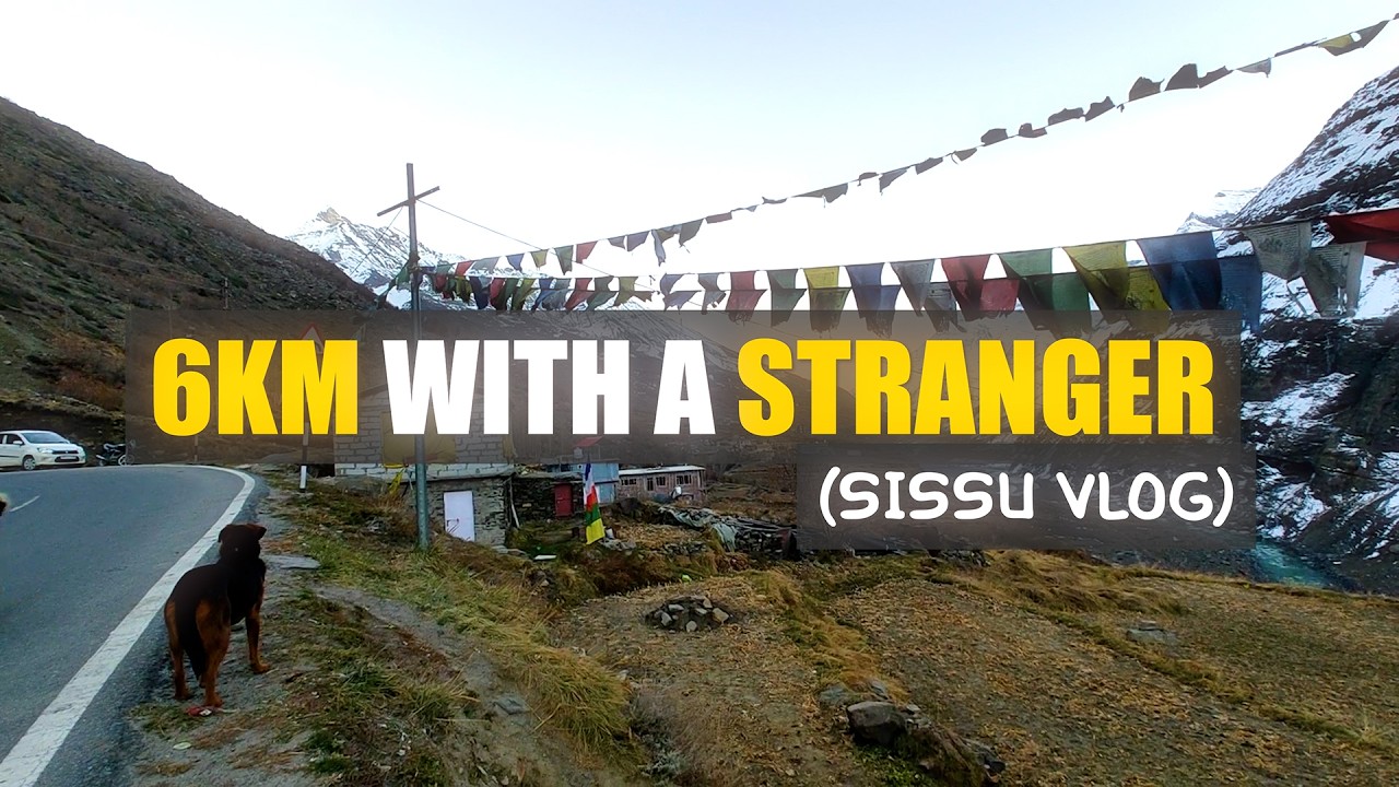 This Stray Dog Walked 6km With Me... (Sissu Vlog)