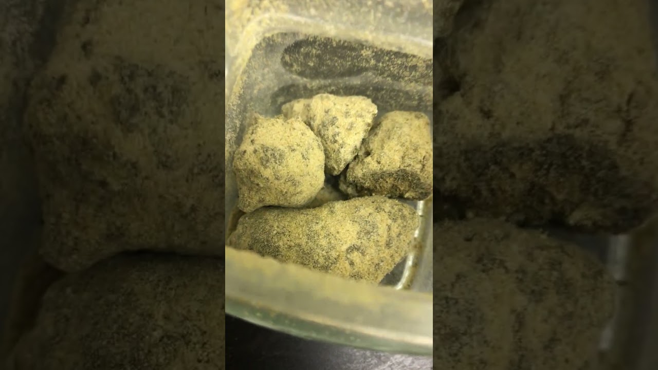 Walking on the Moon with Moon Rocks