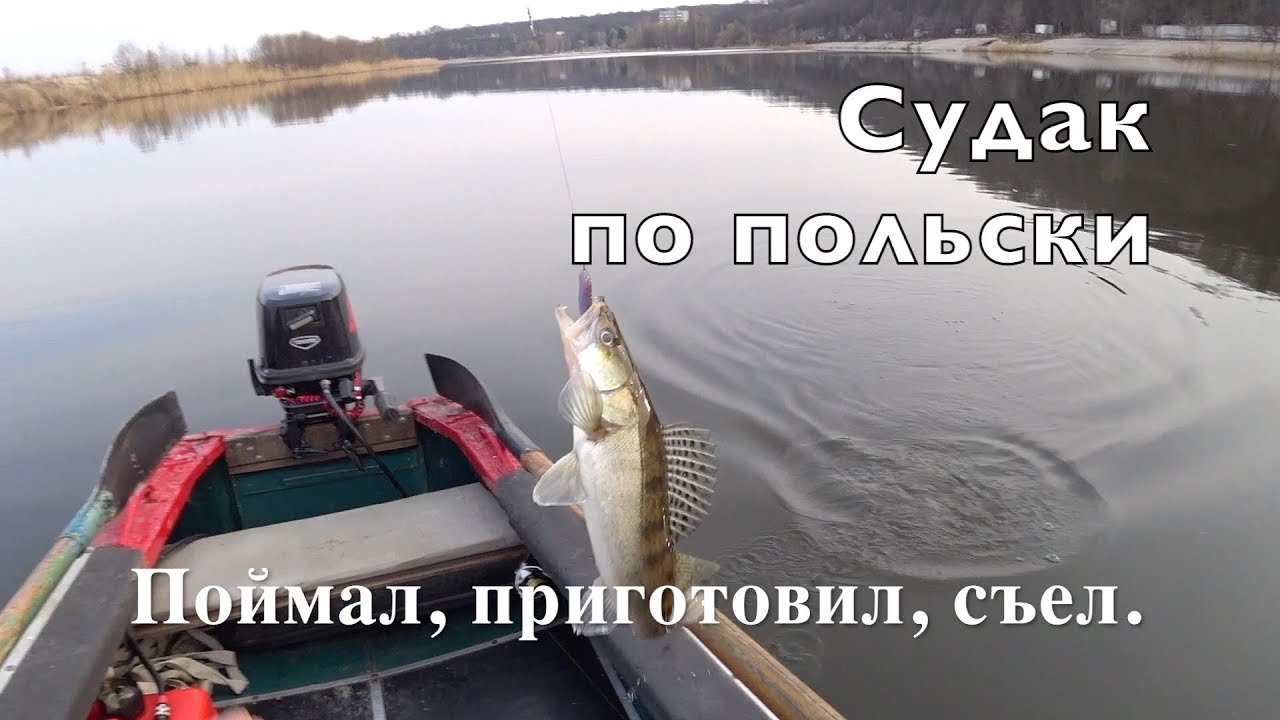 СУДАК ПО ПОЛЬСКИ. По рецепту Ильи Лазерсона.