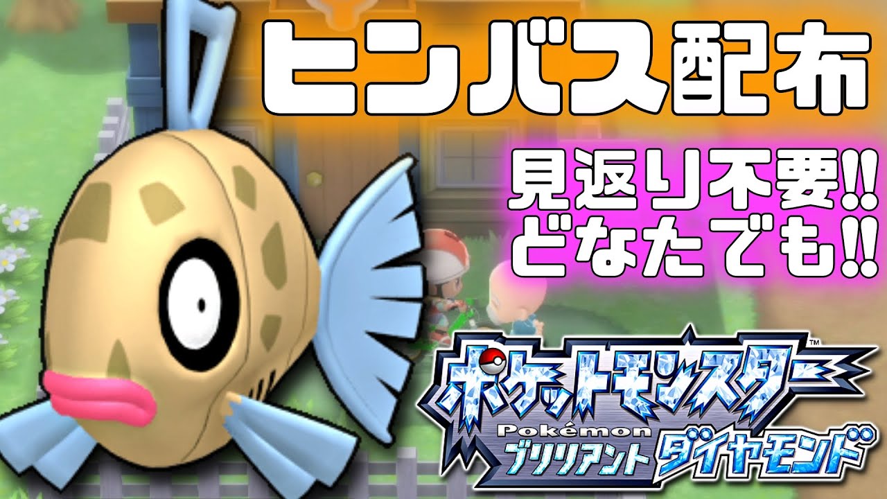 【ダイパリメイク】ヒンバス配布会場 欲しい方どなたでもどうぞ！【ポケモンBDSP】