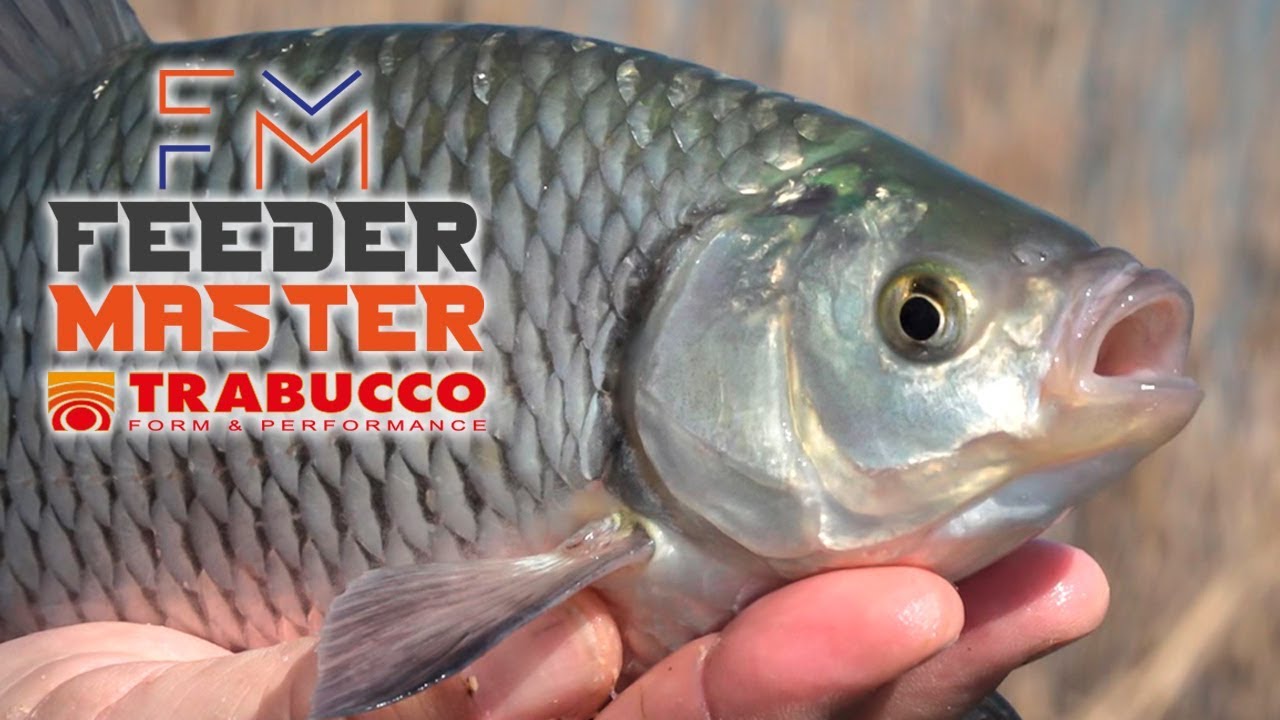 Feeder Master 2 - Puntata 2 - Feeder a Peschiera