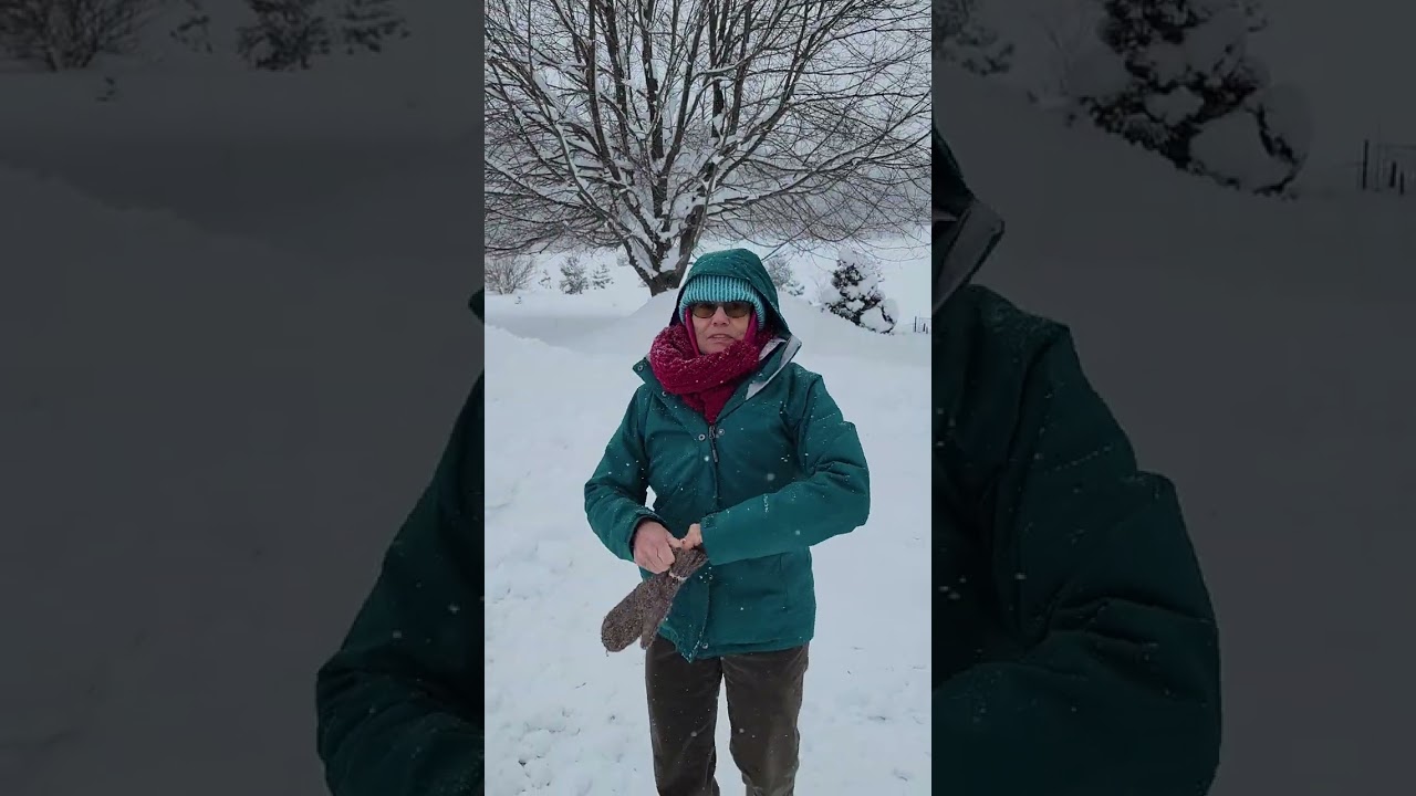 Frozen at Nona's 2025