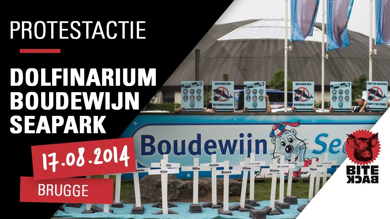 Voor de sluiting van dolfinarium Boudewijn Seapark