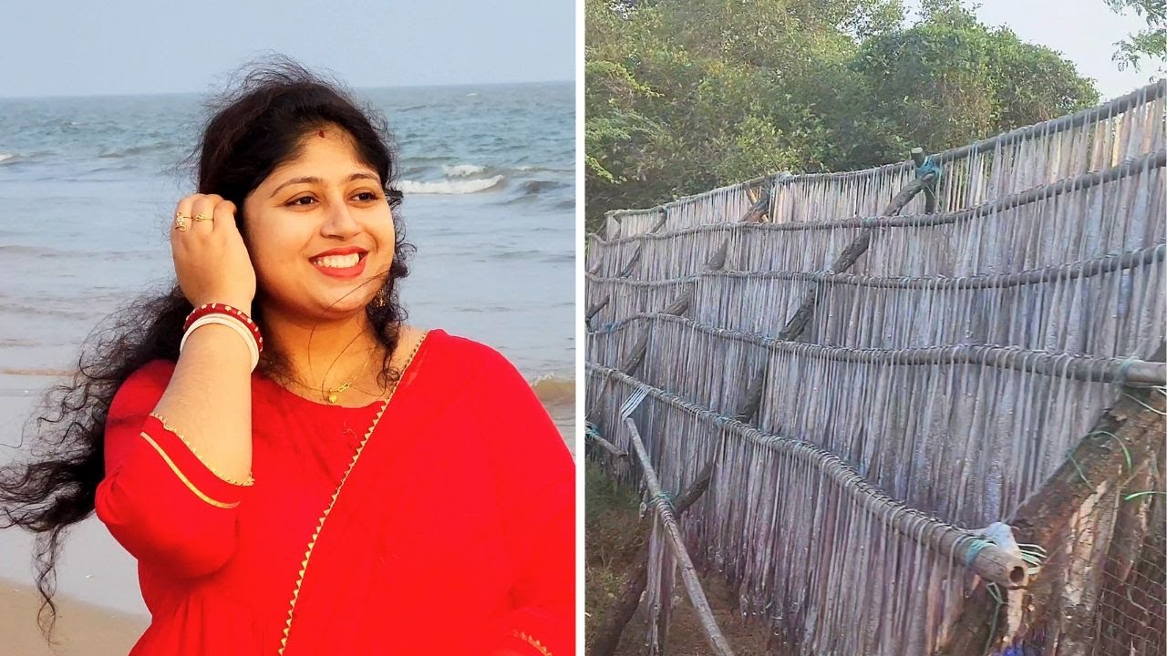 সমুদ্রের ধারে শুটকি মাছের গন্ধে কি অবস্থা