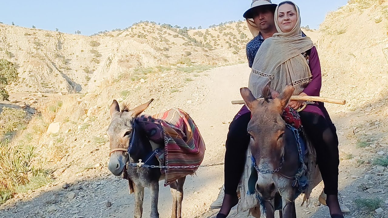 The story of taming the new donkey by husband and wife, step by step 🌳🏕