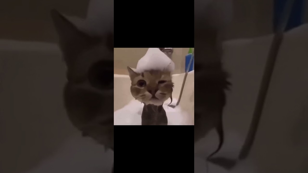 Untrust Us (instrumental sped up)