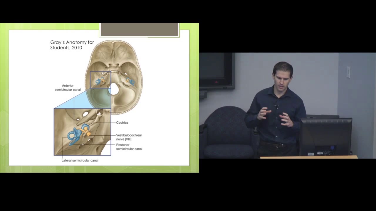Vestibular Therapy - Understanding terminology and treatment