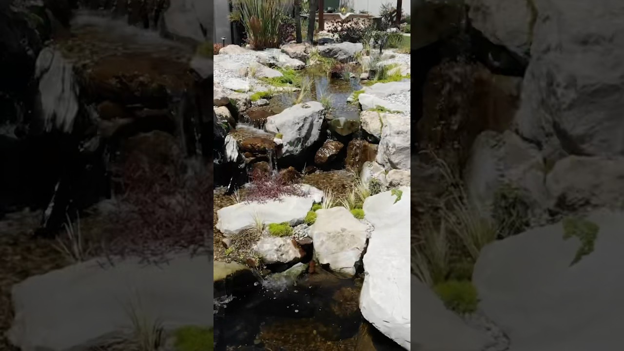Get a sneak peak into our recent build in #SanDiego this Tuesday ☀️ #waterscapes #ponds #nature