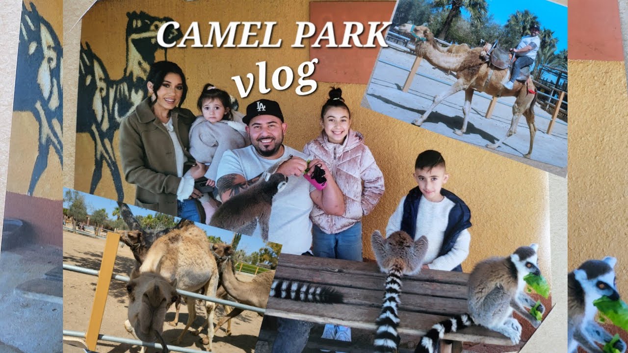 OUR CAMEL PARK EXPERIENCE | MAZOTOS CYPRUS 🐫