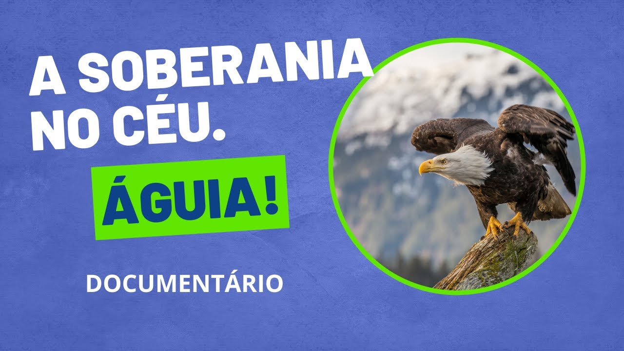 Águia  - A atitute faz a diferença!