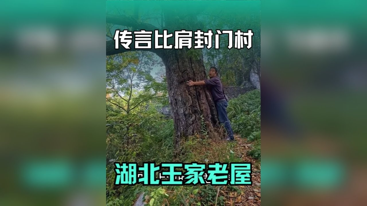 探访令人闻风丧胆的湖北王家老屋无人村，当地大哥咬牙切齿怒怼网 上不实传言。
