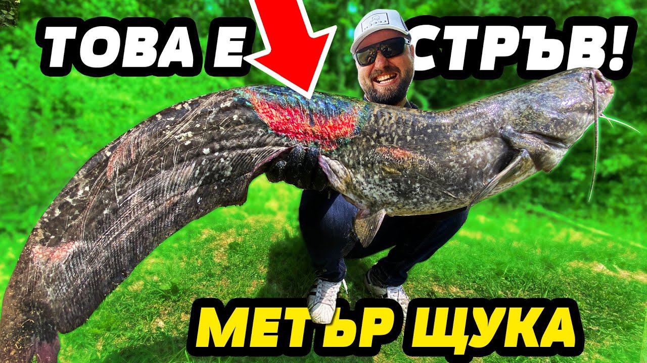 OГРОМЕН СОМ ЯДЕ РИБИ по 100 см!!! Риболов на щука и сом