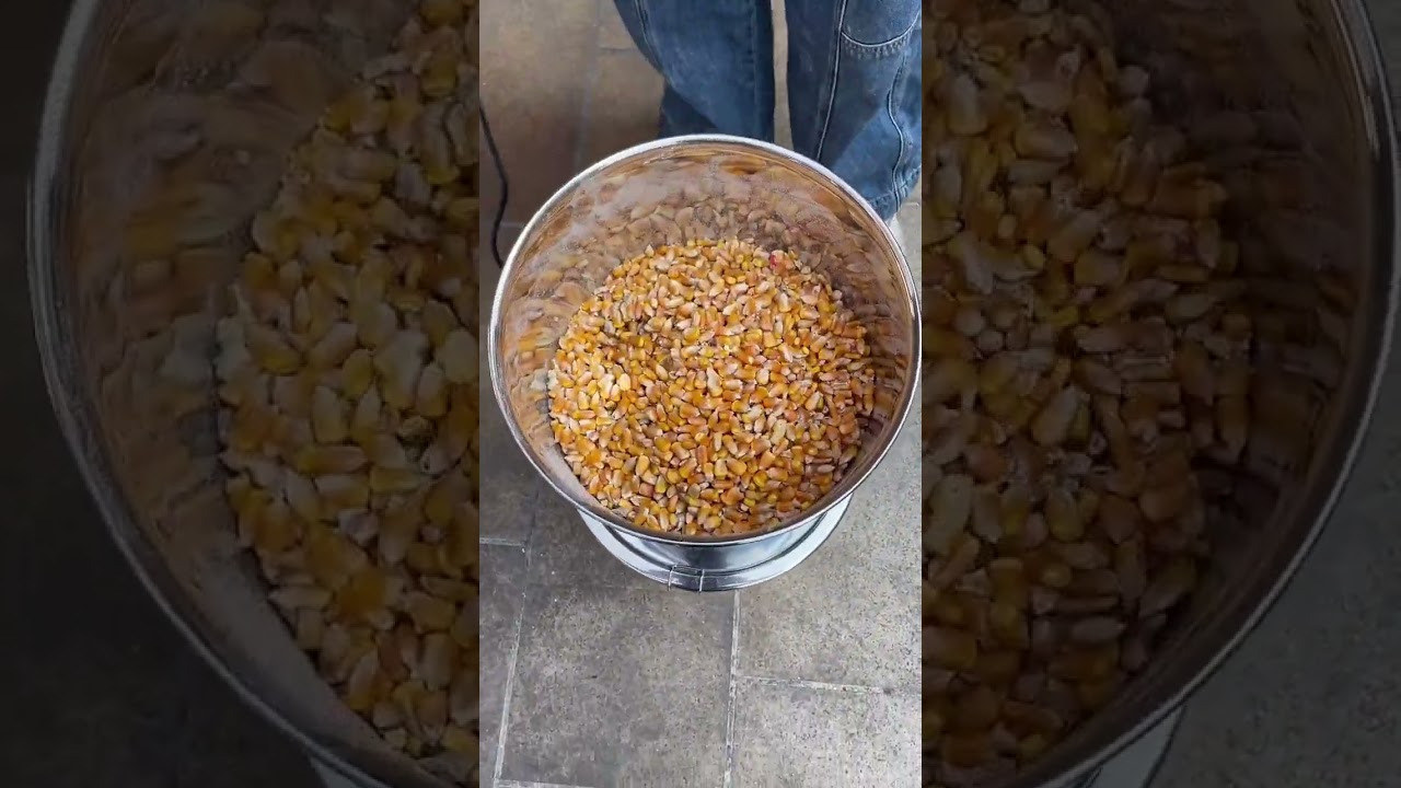 Heavy Duty Stainless Steel Grain Grinder for Poultry Feed