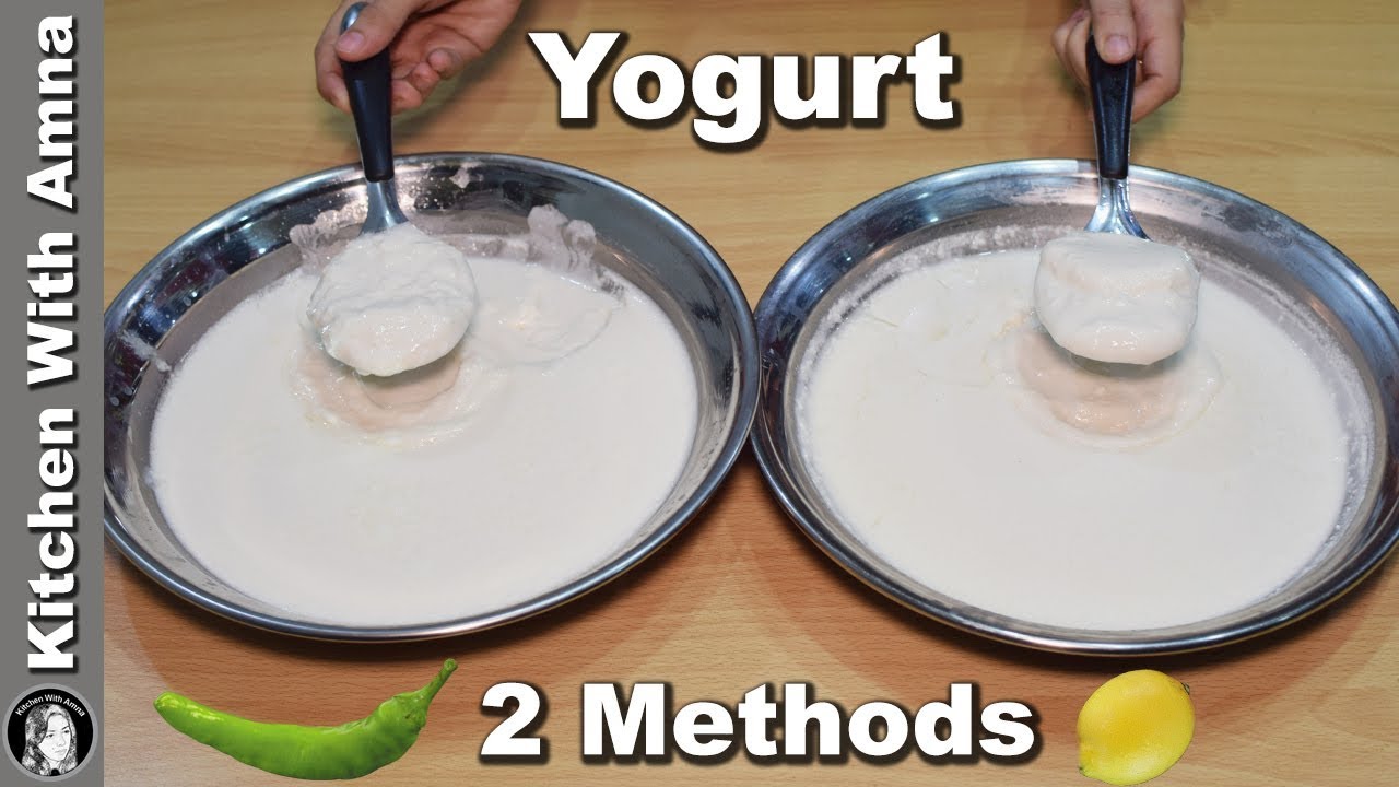 Make Dahi With 2 Ways - Homemade Yogurt Recipe - Kitchen With Amna